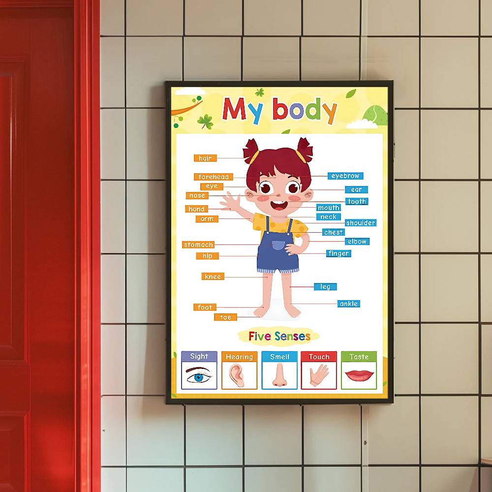 알록달록한 유아 교육용 차트 무광택 종이 포스터 계절  - Kids Education Wallpaper 리뷰 및 가격