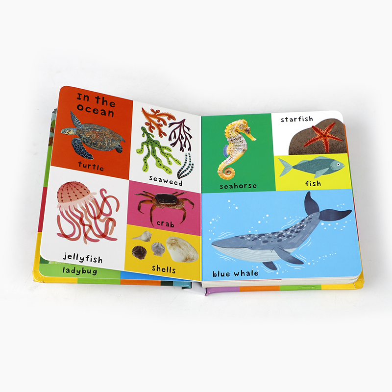 첫 100가지 자연 단어 보드북, 시각 발달, 어휘력  - Sight Word Game 리뷰 및 가격