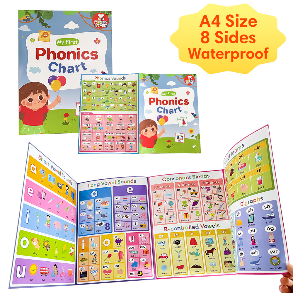 어린이를 위한 파닉스 차트 영어 발음 규칙 학습 포스터 - Sight Word Game 리뷰 및 가격