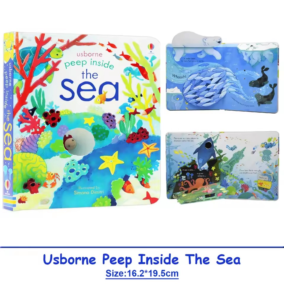 Usborne Peep Inside The Sea 어린 - Kids Nature Education 리뷰 및 가격