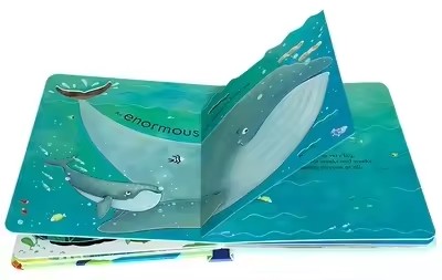 Usborne Peep Inside The Sea 어린 - Kids Nature Education 리뷰 및 가격