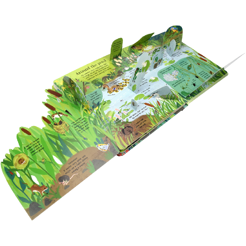 몬테소리 3D 어스본 자연 속으로 들어가 보세요 그림책 - Kids Nature Education 리뷰 및 가격